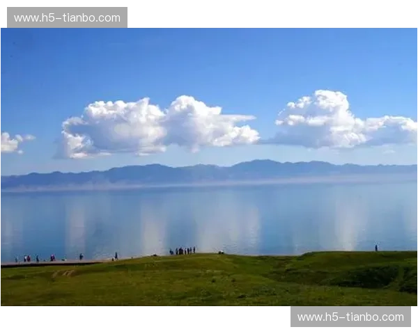 游泳集锦：挑战极限，探索水的无限魅力