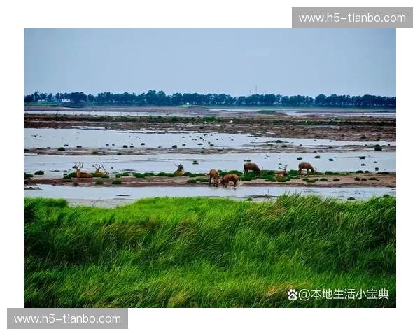 宿命的弧线：当5月3日的盐湖城，撞见了大通中心的流星雨