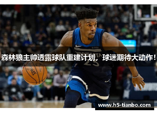 森林狼主帅透露球队重建计划，球迷期待大动作！